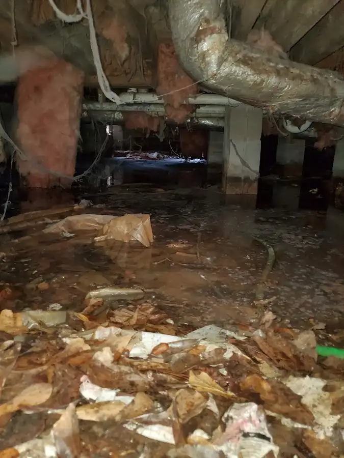Crawl space flood assessment for Leak Detection & Repair in Heathrow