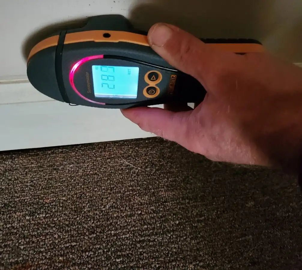 Moisture detection at baseboard during Sewage Cleanup & Sanitation in Heathrow